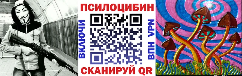 нарко площадка официальный сайт  Калининец  Псилоцибиновые грибы Psilocybe  MEGA ссылки 